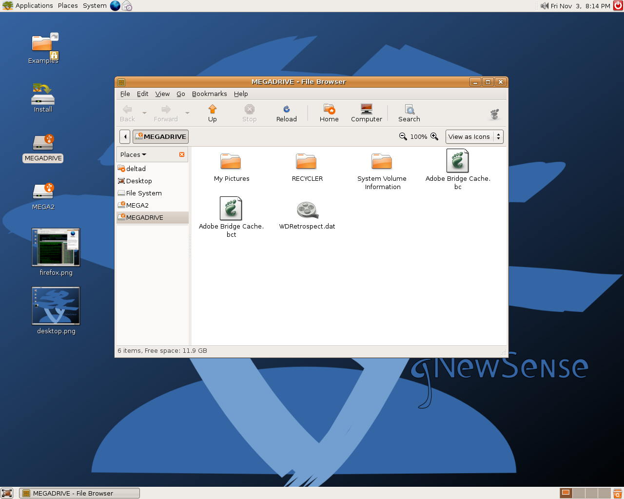 gNewSense - NTFS hard drive mounted