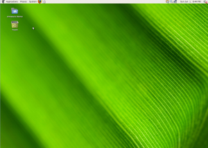 Foresight Linux Initial Background