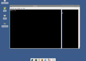 Slackware 12.2 - terminal acting weird