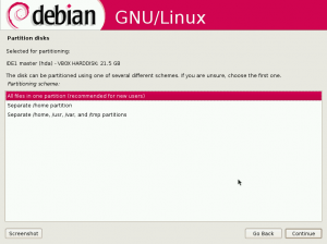 Debian 5 - partitioning questions