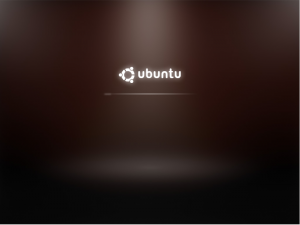 Ubuntu 9.10 loading