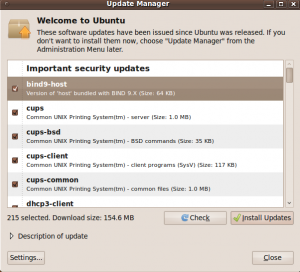 Ubuntu 9.10 updates