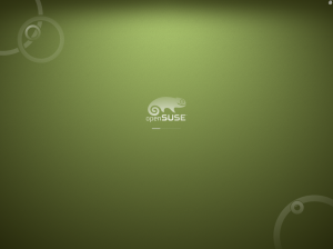 openSuse 11.2 boots up