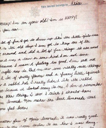 Alice's Diary Entry