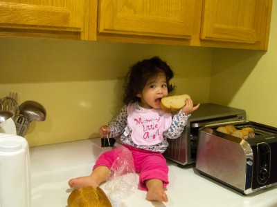 Scarlett eating stolen bread on the countertop