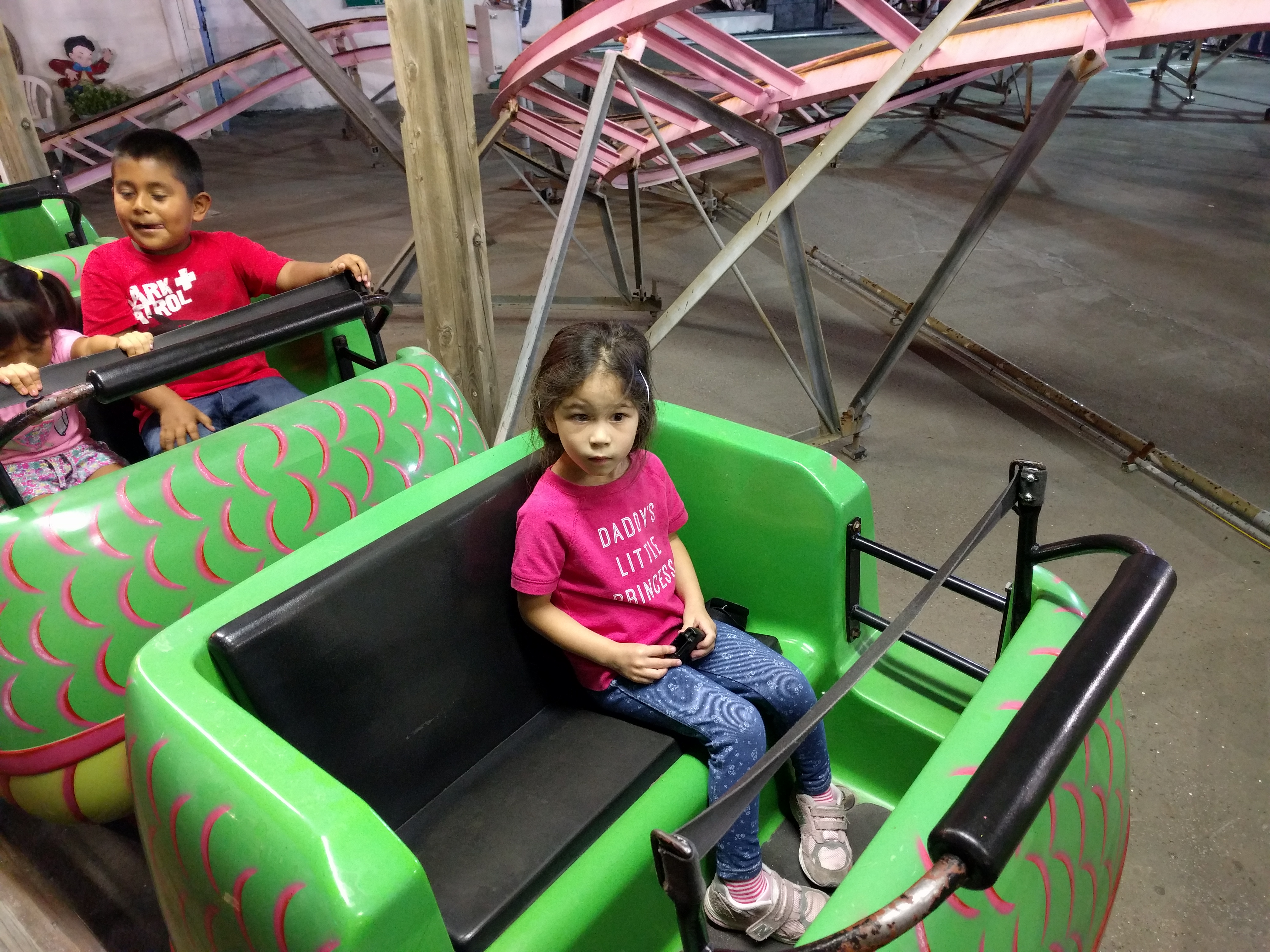 Scarlett on a Coney Island Roller Coaster