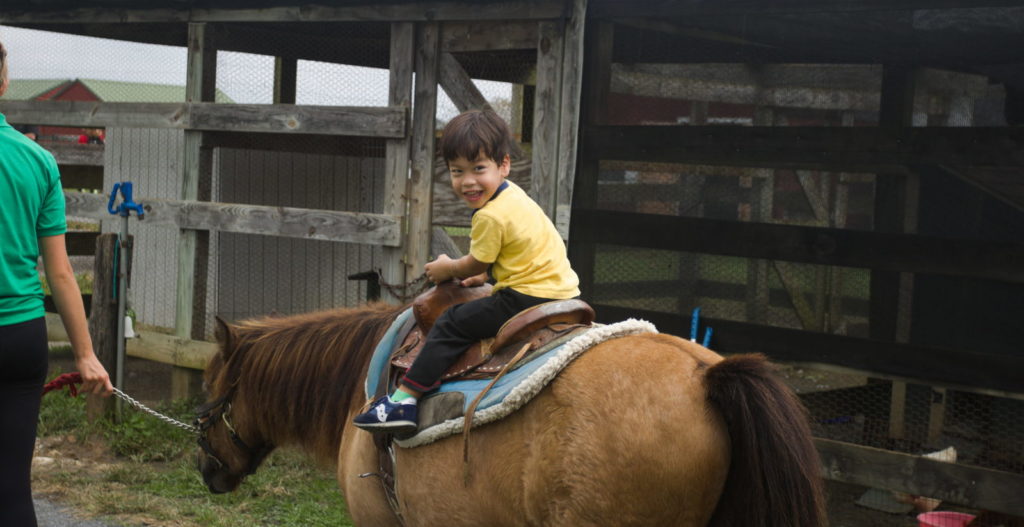 Sam rides a horse