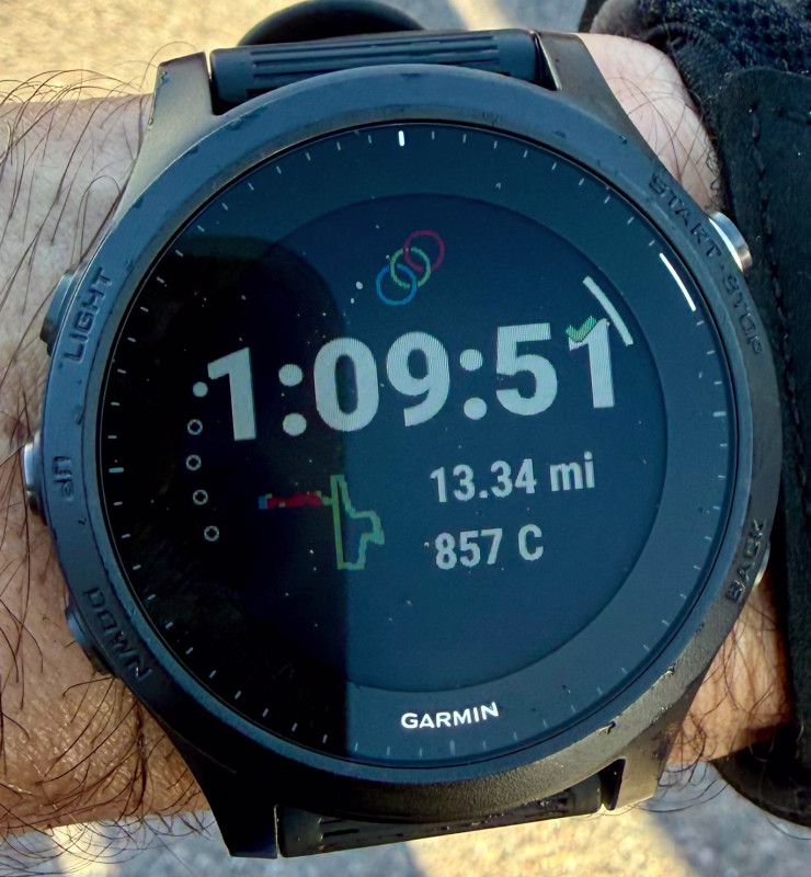 Garmin Watch Capture