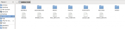 Sandisk Sansa Fuze file system