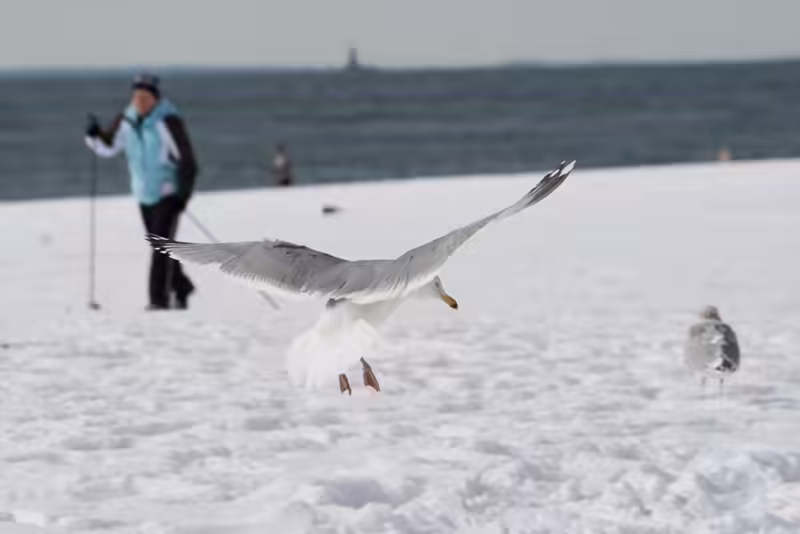 A Landing