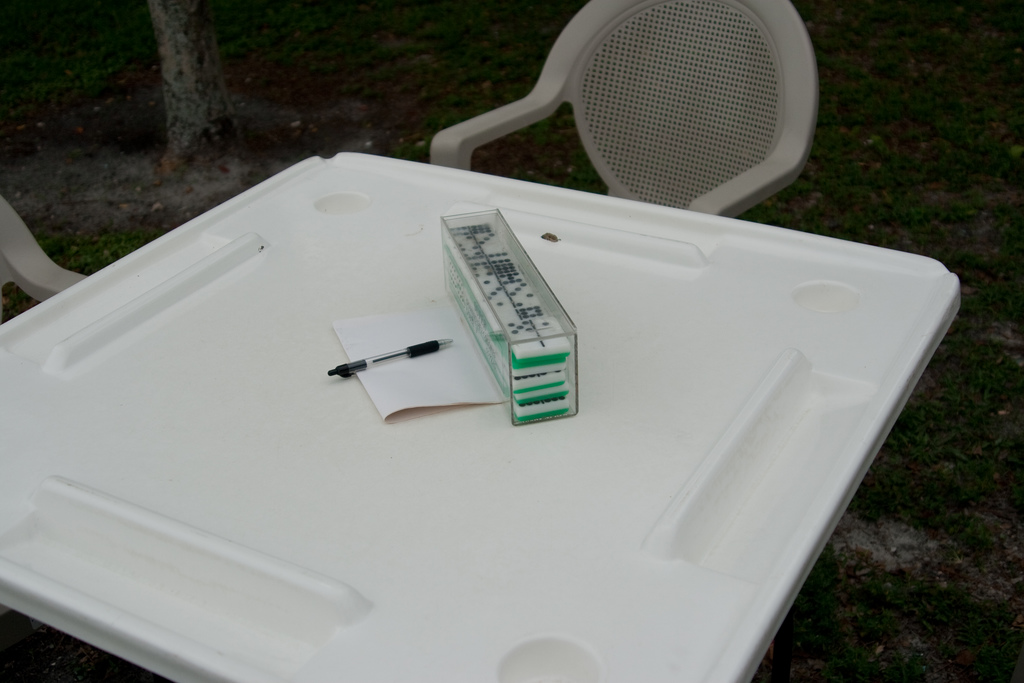 Dominoes Set