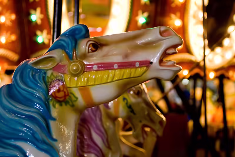 Run Fast, Noble Steed