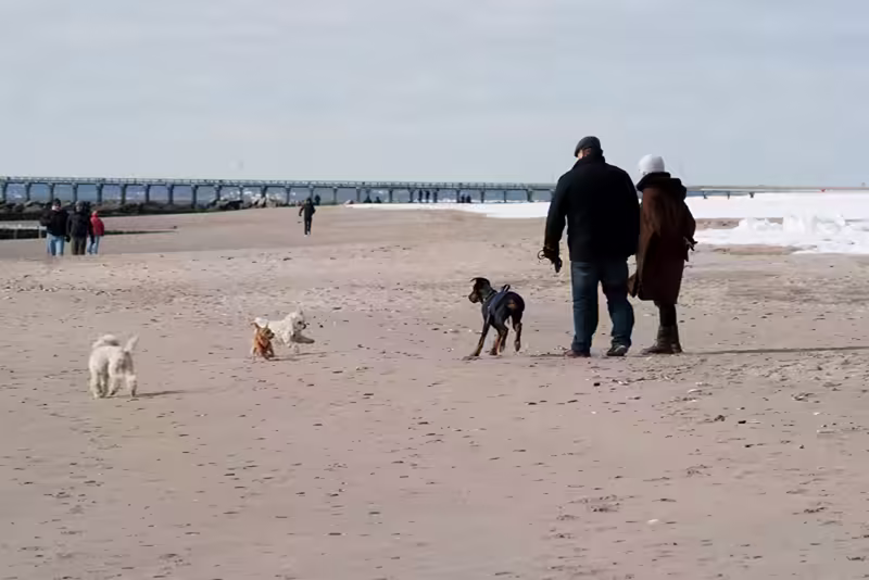 Scared of Yappy Dogs