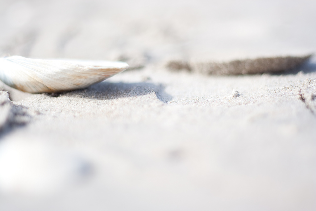 Shell