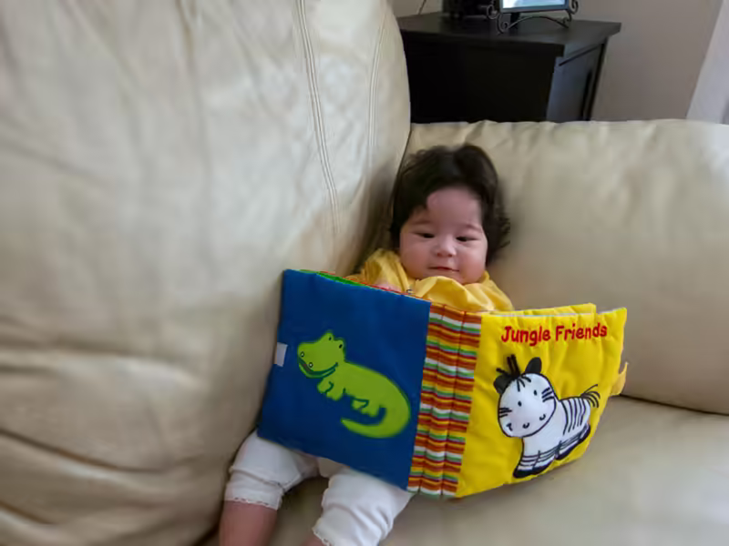Scarlett Reads Jungle Friends