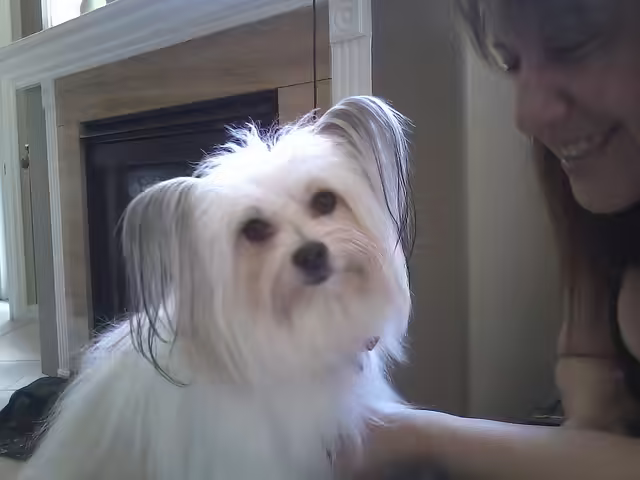 Mom and Daisy