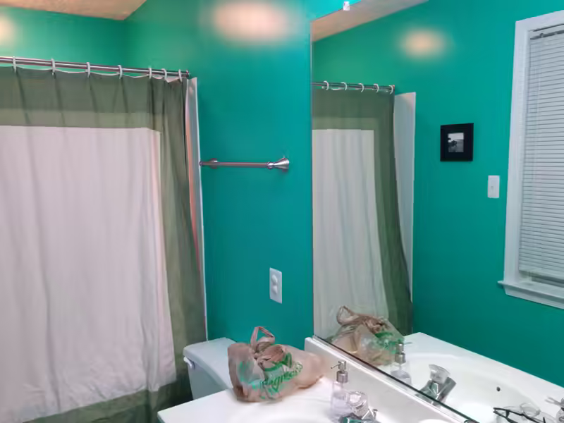 Bathroom New Paint-53