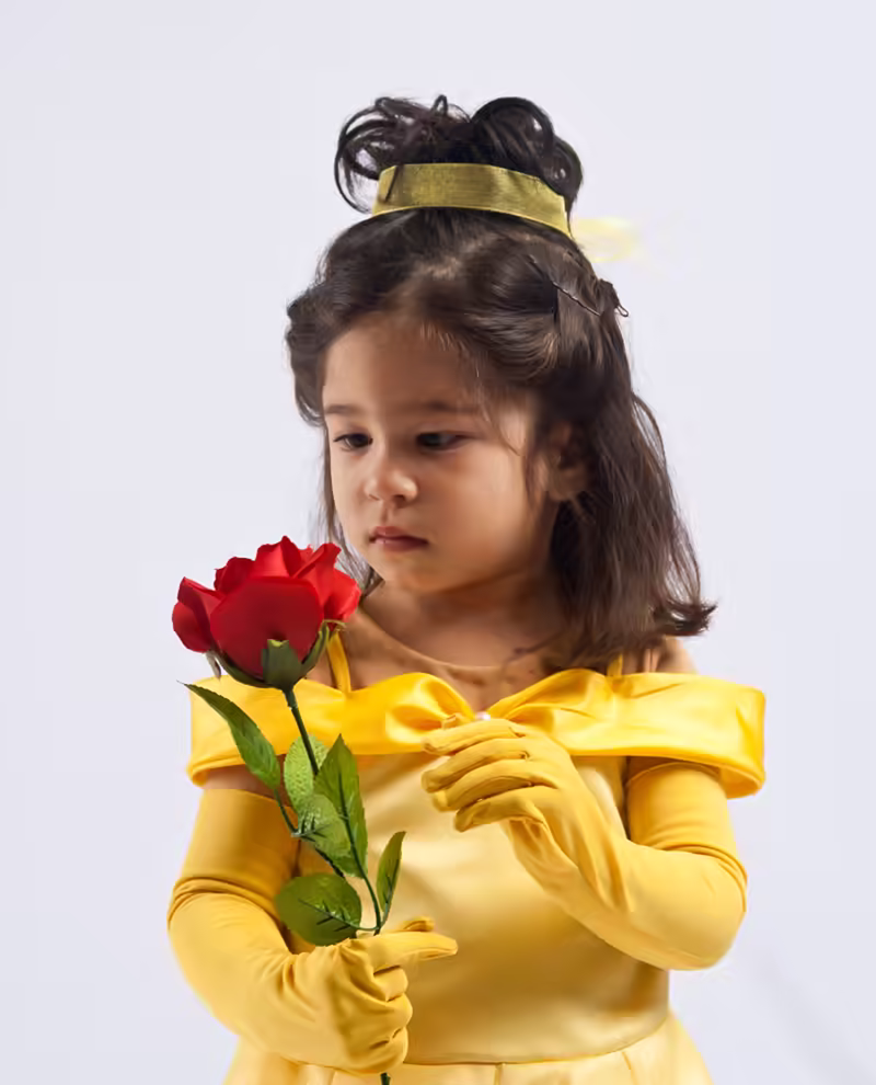 Belle and the Rose