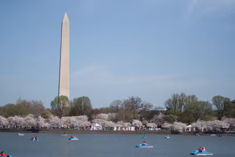 Paddle Boats