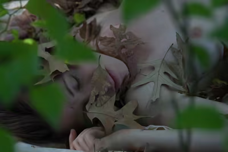 A Leafy Nap