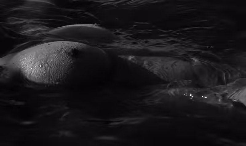 Floating