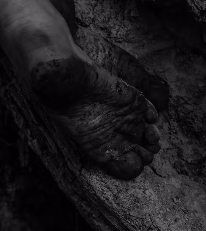 Feet