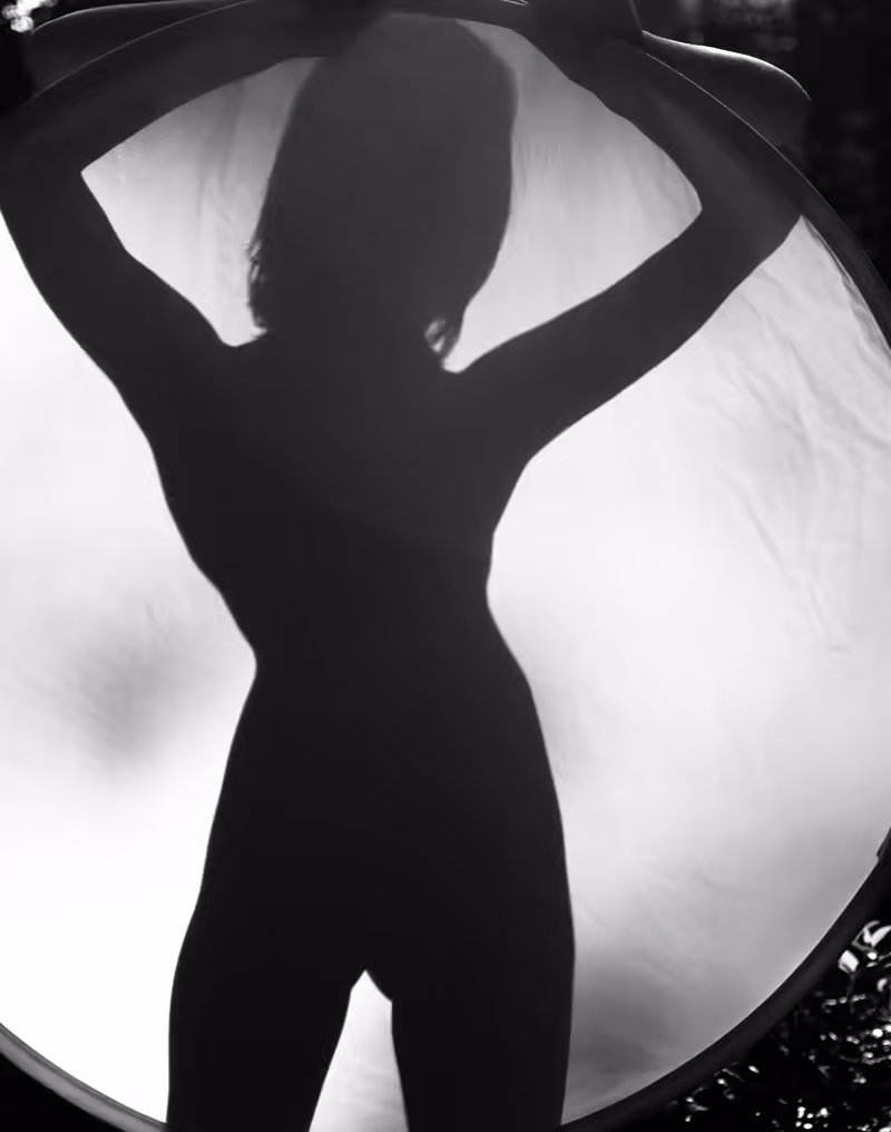 Silhouette 2