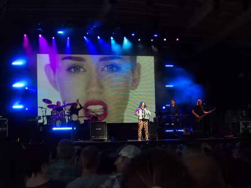 Weird Al Mandatory Fun Concert-15 - web