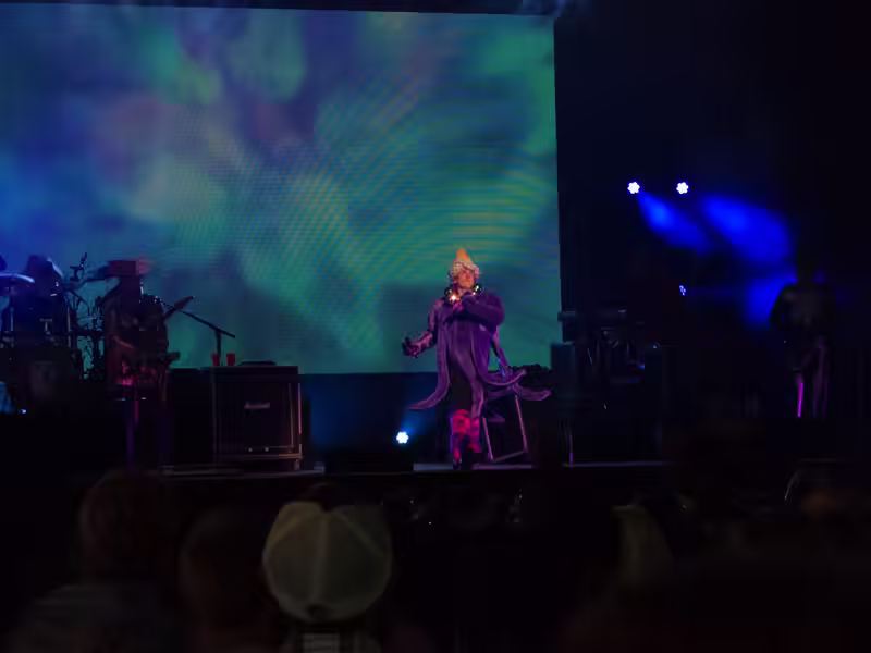 Weird Al Mandatory Fun Concert-16 - web