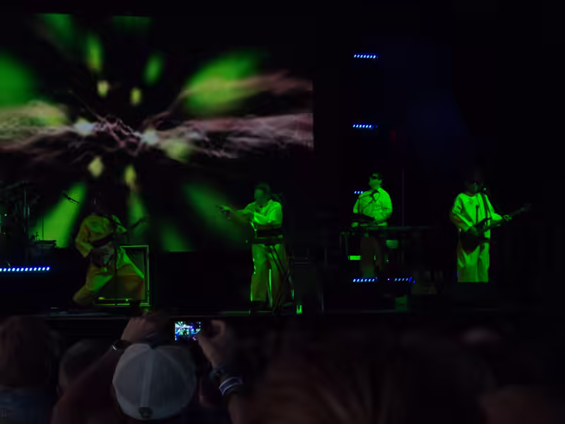 Weird Al Mandatory Fun Concert-23 - web