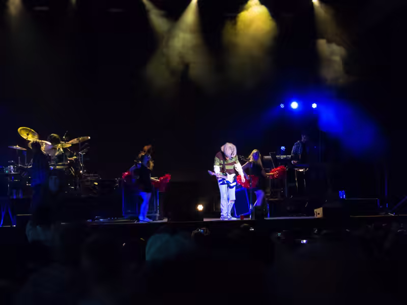 Weird Al Mandatory Fun Concert-39 - web