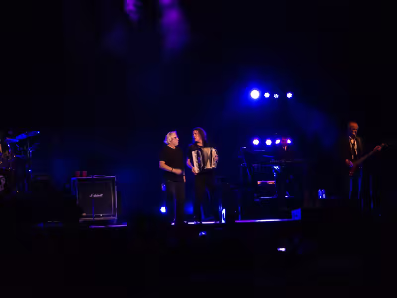 Weird Al Mandatory Fun Concert-48 - web