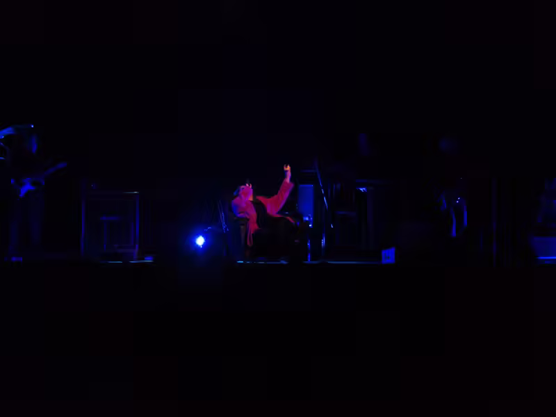 Weird Al Mandatory Fun Concert-52 - web