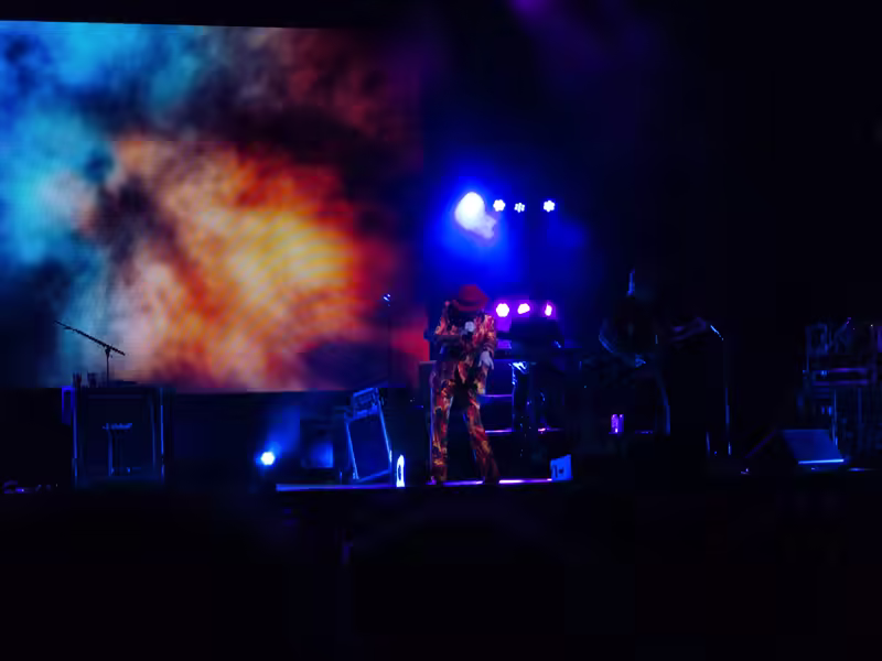 Weird Al Mandatory Fun Concert-59 - web