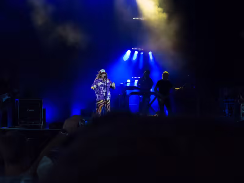 Weird Al Mandatory Fun Concert-7 - web