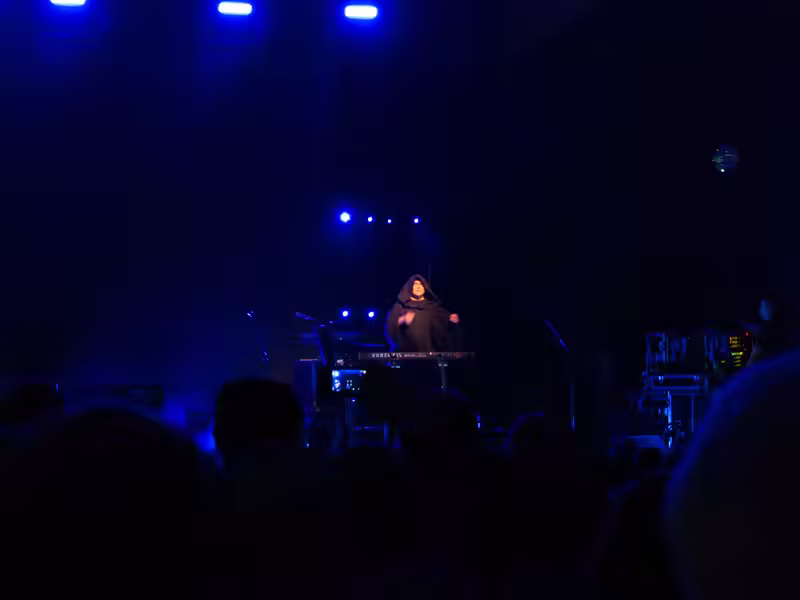 Weird Al Mandatory Fun Concert-88 - web