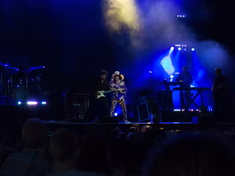 Weird Al Mandatory Fun Concert-9 - web