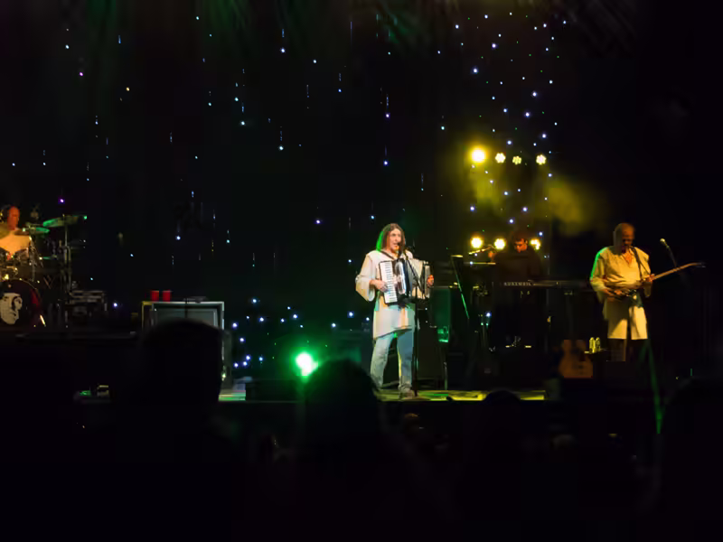 Weird Al Mandatory Fun Concert-98 - web