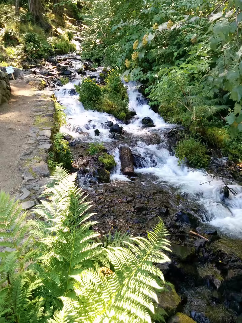 Multnomah Falls 011