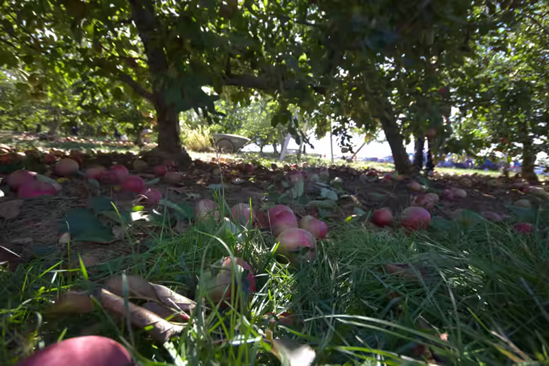 Larriland-Farm-2015-10-11-016