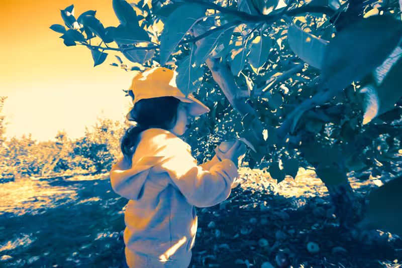 Larriland-Farm-2015-10-11-026-1