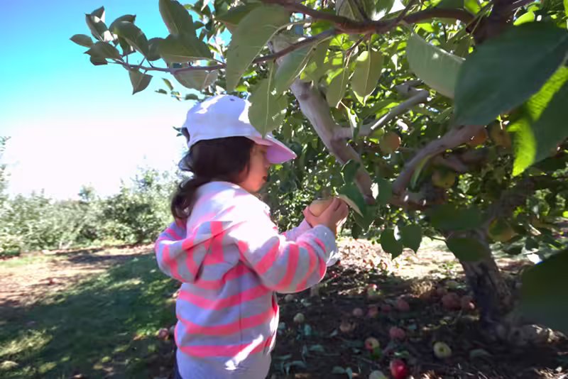 Larriland-Farm-2015-10-11-026