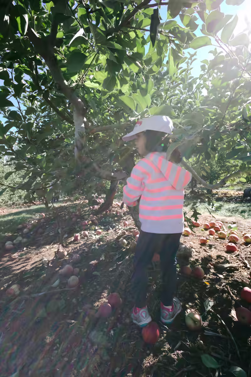 Larriland-Farm-2015-10-11-032