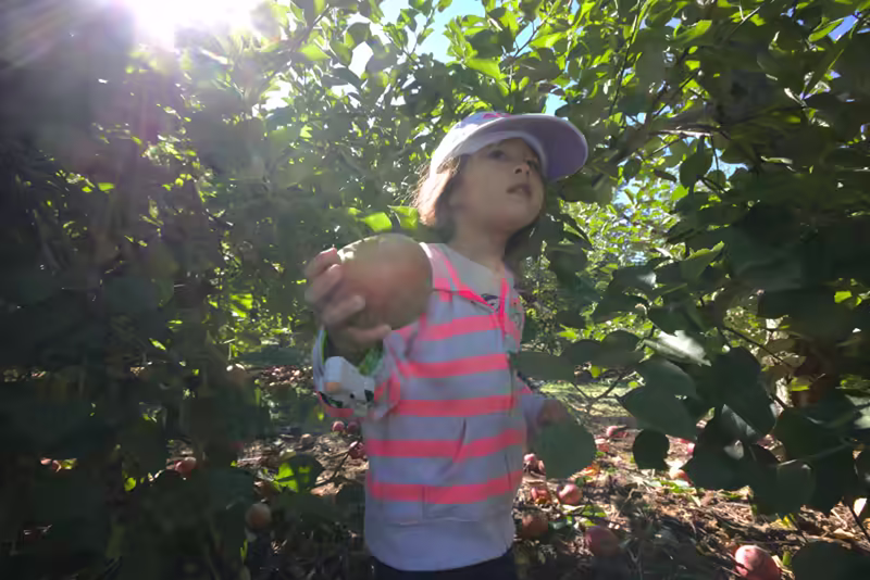 Larriland-Farm-2015-10-11-040