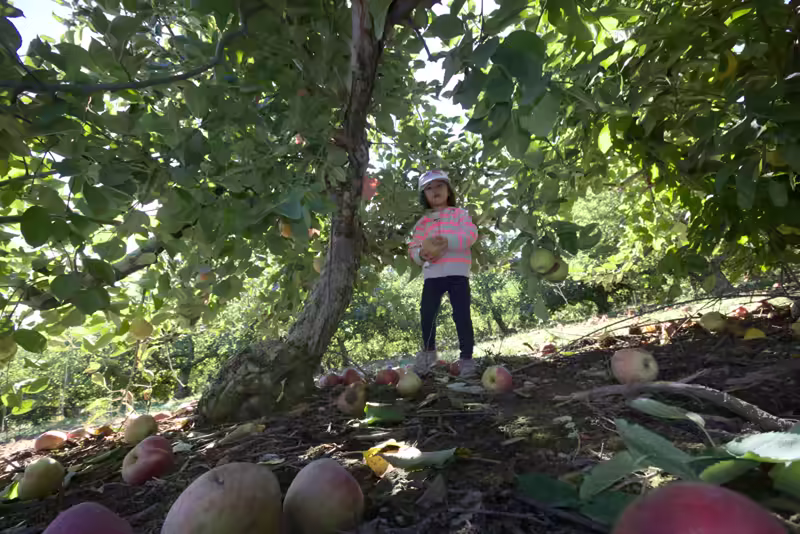Larriland-Farm-2015-10-11-047
