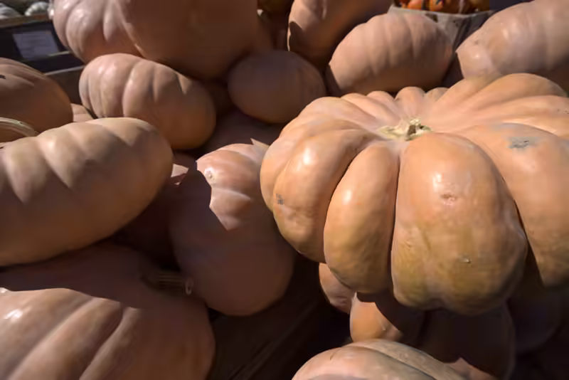 Larriland-Farm-2015-10-11-071