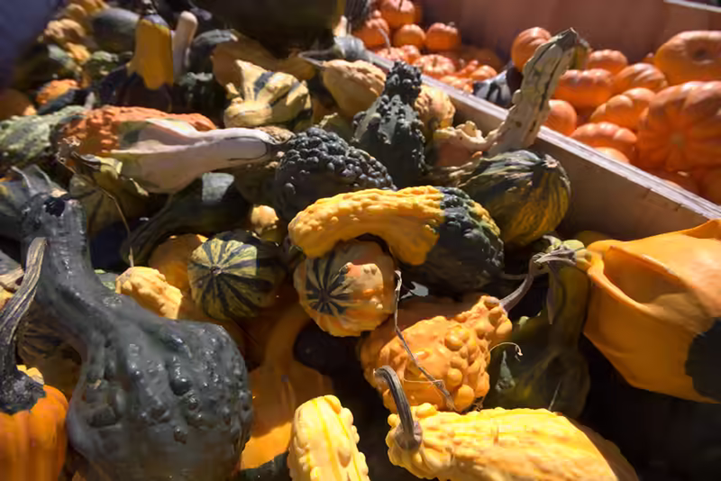 Larriland-Farm-2015-10-11-073