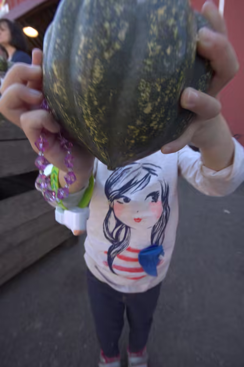 Larriland-Farm-2015-10-11-078