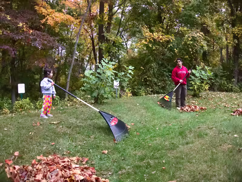 raking - 2015-10-24&ndash;006