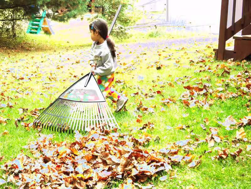 raking - 2015-10-24&ndash;007